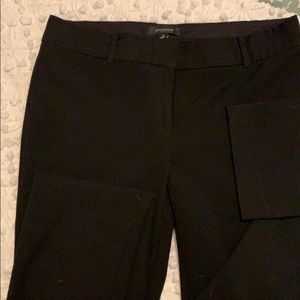 Ann Taylor pants
